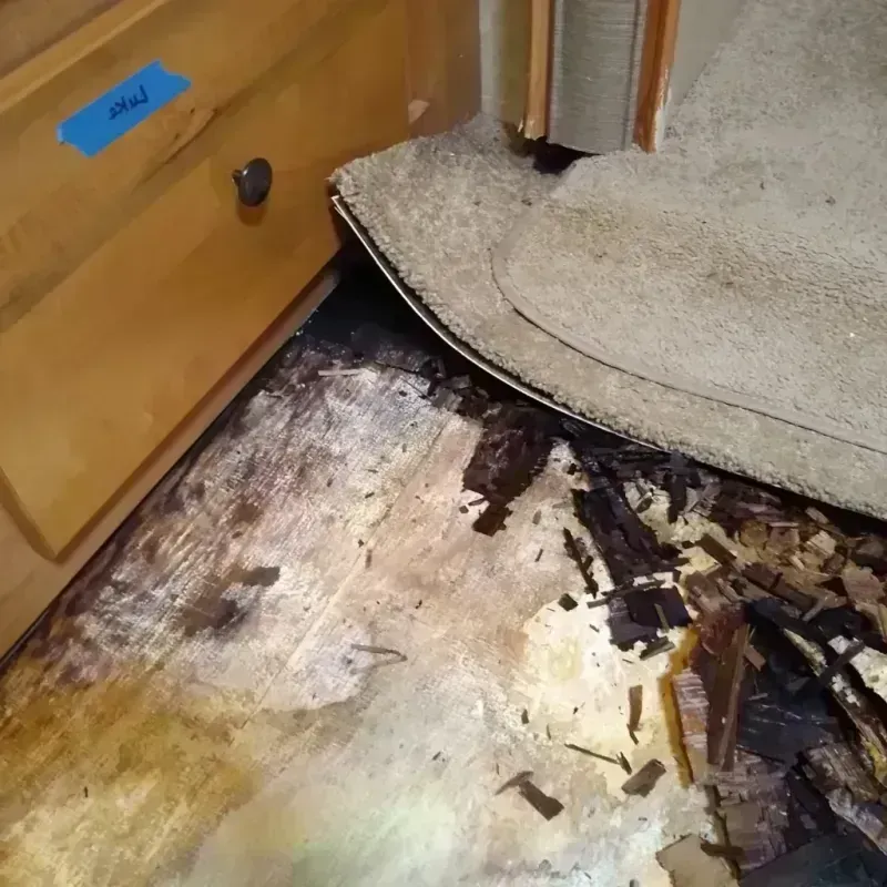 Wood Floor Water Damage in Kingsley, IA